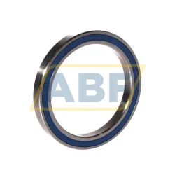 Шариковый подшипник SS61810 2RS Neutral