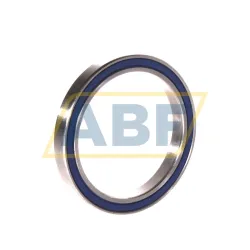 Шариковый подшипник SS61809 2RS Neutral