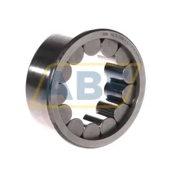 Цилиндрический роликовый подшипник однорядный RSL192308-A INA