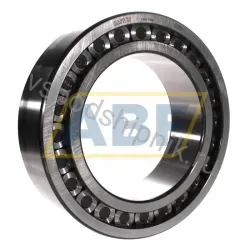 Цилиндрический роликовый подшипник однорядный SL183036-TB INA