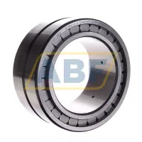 Цилиндрический роликовый подшипник SL185020-A INA