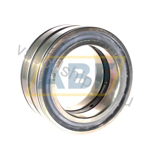 Цилиндрический роликовый подшипник SL045020-D-PP-RR-C3-GA22 INA