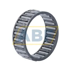 Игольчатый роликовый подшипник с сепаратором K50X58X20-B/0-2 INA