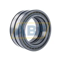 Цилиндрический роликовый подшипник SL045024-D-PP-C3 INA