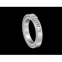 Цилиндрический роликовый подшипник SL182964-BR-B INA