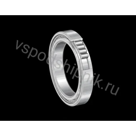Цилиндрический роликовый подшипник SL182964-BR-B INA
