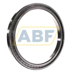 Цилиндрический роликовый подшипник однорядный SL181852-E-C3 INA