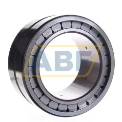 Цилиндрический роликовый подшипник SL185022-A-C3 INA