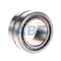 Цилиндрический роликовый подшипник SL185010-A-C3 INA