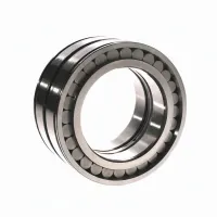 Цилиндрический роликовый подшипник SL045018-D-C3 INA