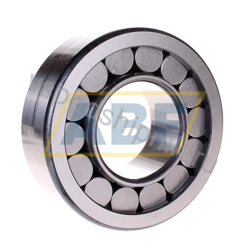 Цилиндрический роликовый подшипник однорядный SL192314-C3 INA 360