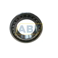 Цилиндрический роликовый подшипник однорядный SL183036-TB-C3 INA