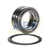 Цилиндрический роликовый подшипник SL045013-PP-2NR-C3-L091 INA