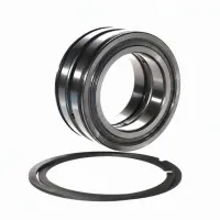 Цилиндрический роликовый подшипник SL045013-PP-2NR-C3-L091 INA
