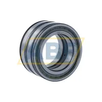 Цилиндрический роликовый подшипник SL045010-PP-2NR-C3-L091 INA
