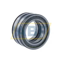 Цилиндрический роликовый подшипник SL045010-PP-2NR-C3-L091 INA