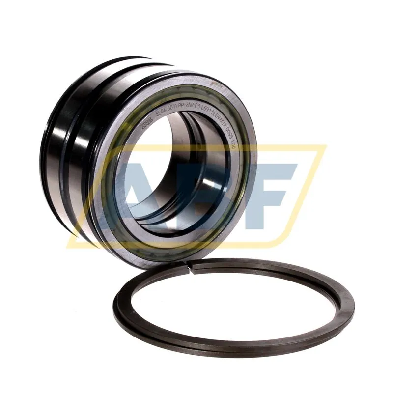 Цилиндрический роликовый подшипник SL045011-PP-2NR-C3-L091 INA 360