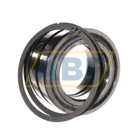 Цилиндрический роликовый подшипник SL045016-D-PP-2NR INA