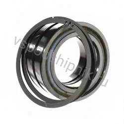 Цилиндрический роликовый подшипник SL045016-D-PP-2NR INA