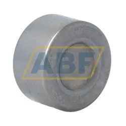 Игольчатый роликовый подшипник с сепаратором BK2216-A INA