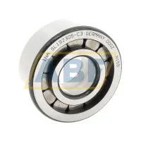 Цилиндрический роликовый подшипник однорядный SL192305-C3 INA