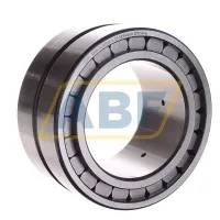 Цилиндрический роликовый подшипник SL185016-A-C3 INA