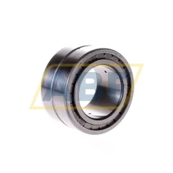 Цилиндрический роликовый подшипник SL185011-A-C3 INA