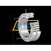 Цилиндрический роликовый подшипник SL185034-A-BR-2S INA