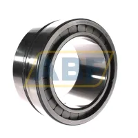Цилиндрический роликовый подшипник SL185030-A-C3 INA