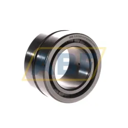 Цилиндрический роликовый подшипник SL185009-A-C3 INA
