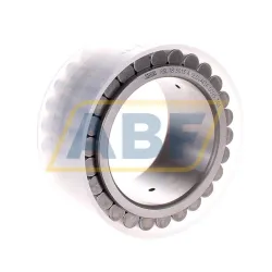 Цилиндрический роликовый подшипник однорядный RSL185013-A INA