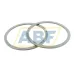 Цилиндрический роликовый подшипник SL045008-PP-2NR INA