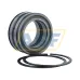 Цилиндрический роликовый подшипник SL045013-PP-2NR INA