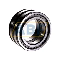 Цилиндрический роликовый подшипник SL045012-C3 INA