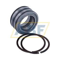 Цилиндрический роликовый подшипник SL045012-PP-2NR-C3-L091 INA