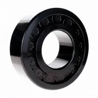 Цилиндрический роликовый подшипник однорядный SL192322-TB-XL-BR-C3 INA