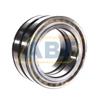 Цилиндрический роликовый подшипник SL045020-D-PP INA