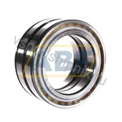 Цилиндрический роликовый подшипник SL045020-D-PP INA