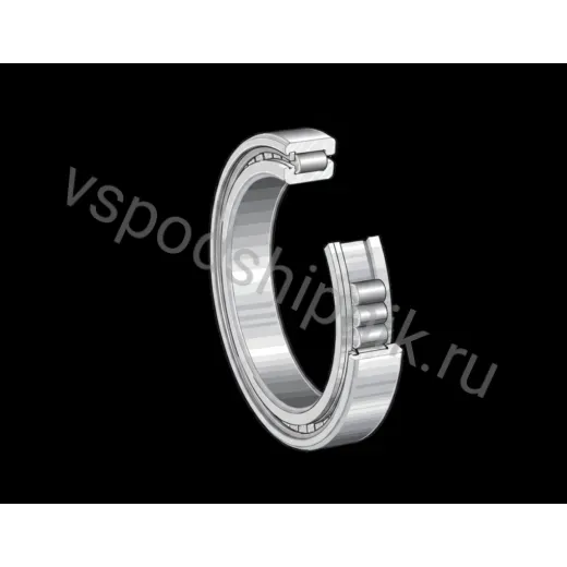 Цилиндрический роликовый подшипник SL181860-BR-E INA