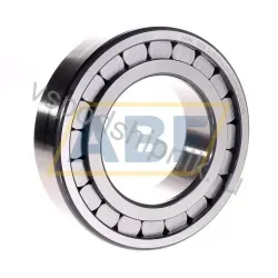 Цилиндрический роликовый подшипник однорядный SL182219-A-C3 INA