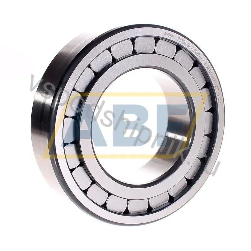 Цилиндрический роликовый подшипник однорядный SL182219-A-C3 INA 360