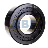 Цилиндрический роликовый подшипник однорядный SL192320-TB-XL-BR-C3 INA