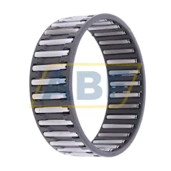Игольчатый роликовый подшипник с сепаратором K45X50X17-B/-3-5 INA