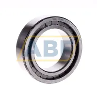 Цилиндрический роликовый подшипник однорядный SL183012-A-XL-C3 INA