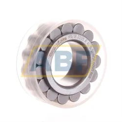 Цилиндрический роликовый подшипник однорядный RSL182205-A-XL INA