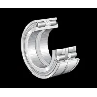 Цилиндрический роликовый подшипник SL045020-D-PP-C2 INA