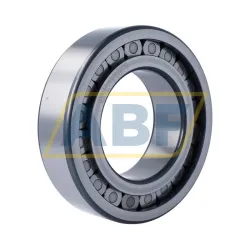 Цилиндрический роликовый подшипник однорядный RSL182220-A INA