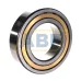 Цилиндрический роликовый подшипник NJ NJ2219-E-M1 FAG