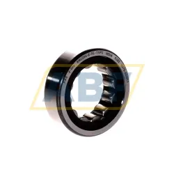 Цилиндрический роликовый подшипник однорядный RNU204-E-XL-TVP2 FAG