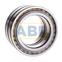 Цилиндрический роликовый подшипник SL045018-D-PP INA